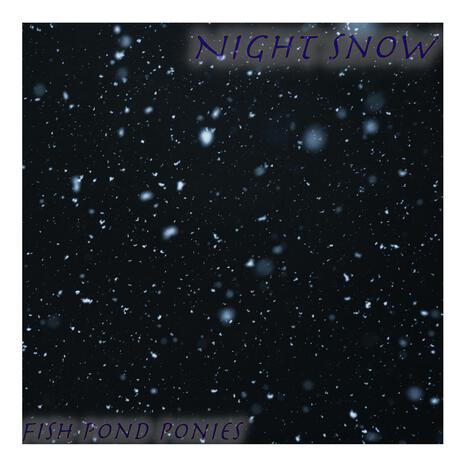 Night Snow | Boomplay Music