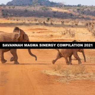SAVANNAH MAGMA SINERGY COMPILATION 2021