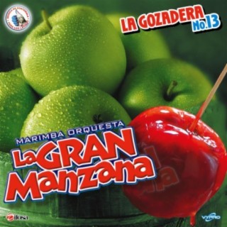 Marimba Orquesta La Gran Manzana