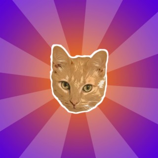 Orange Cat | Boomplay Music