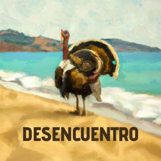 Desencuentro lyrics | Boomplay Music