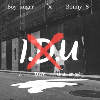 I Don't Understand ft. Boy_zugar lyrics | Boomplay Music