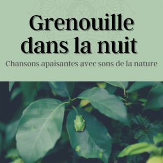 Grenouille dans la nuit: Chansons apaisantes avec sons de la nature pour musicothérapie avant de dormir