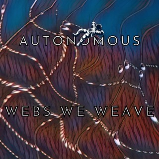 Webs We Weave