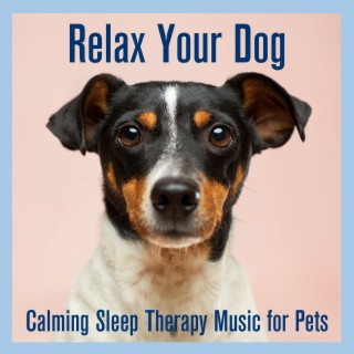 Relax Your Dog: Calming Sleep Therapy Music for Pets