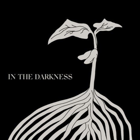 In the Darkness | Boomplay Music