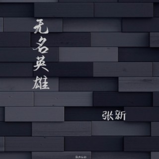 无名英雄 lyrics | Boomplay Music