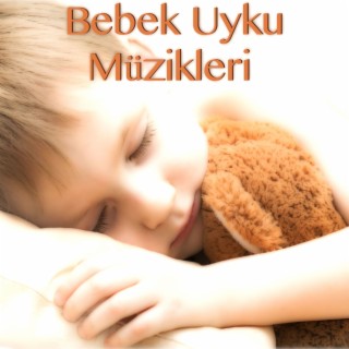 Bebek Uyku Müzikleri: Rahatlatıcı Müzik Yatmadan Şarkıları ve Mozart Etkisi için Çocukları Yatıştırıcı