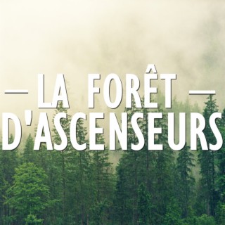 La forêt d'ascenseurs