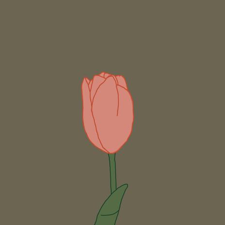 Tulip.mp3 | Boomplay Music