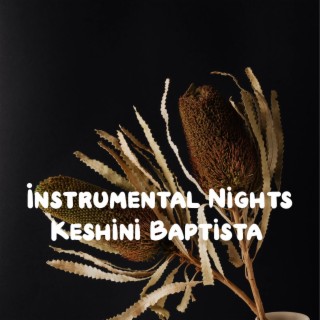 Instrumental Nights
