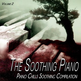 The Soothing Piano, Vol.2 - Piano Chills Soothing
