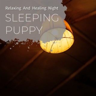 Relaxing and Healing Night