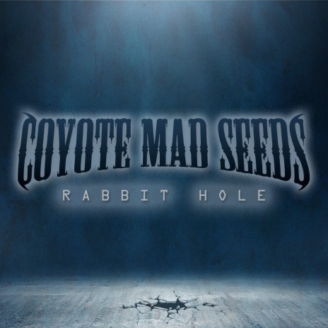 Rabbit Hole | Boomplay Music