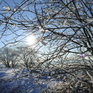 En liten sång i juletid lyrics | Boomplay Music