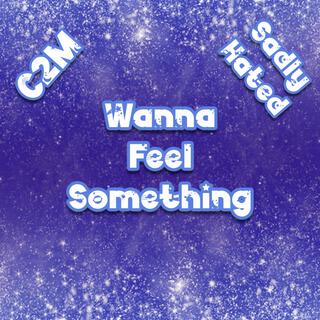 Wanna Feel Something