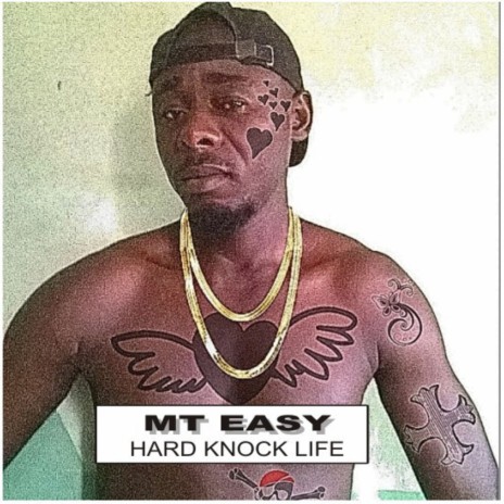 Hard Knock Life | Boomplay Music