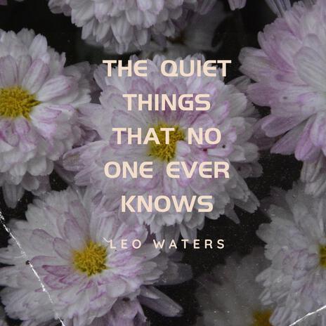 The Quiet Things That No One Ever Knows | Boomplay Music