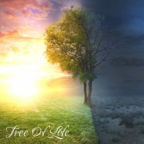 TREE OF LIFE | Boomplay Music