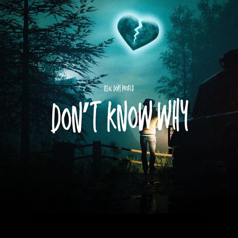 Don't Know Why | Boomplay Music