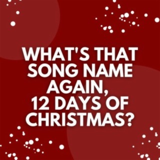 What's That Song Name Again, 12 Days of Christmas?