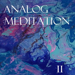 Analog Meditation : Disk 2