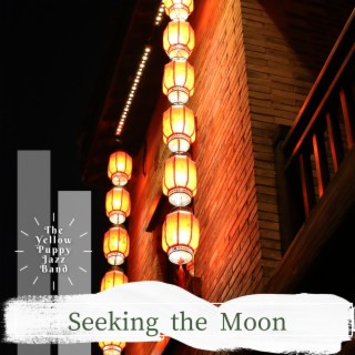 Seeking the Moon