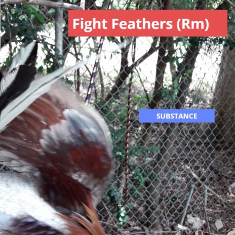 Fight Feathers (Rm) | Boomplay Music