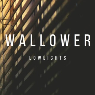 Lowlights