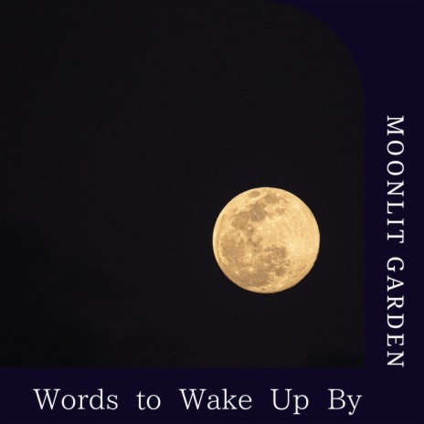 Silence in the Words | Boomplay Music