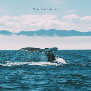 Songs From the Sea