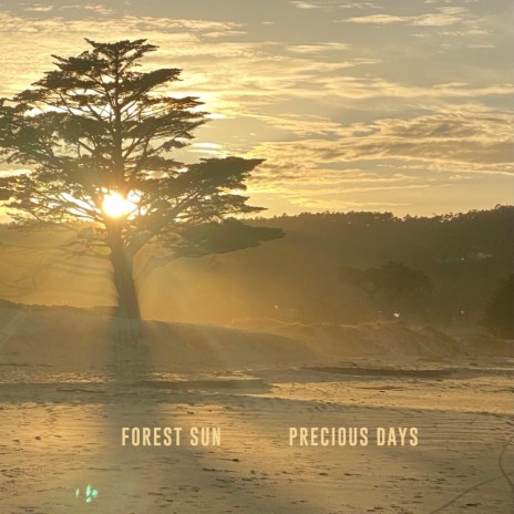 Precious Days | Boomplay Music