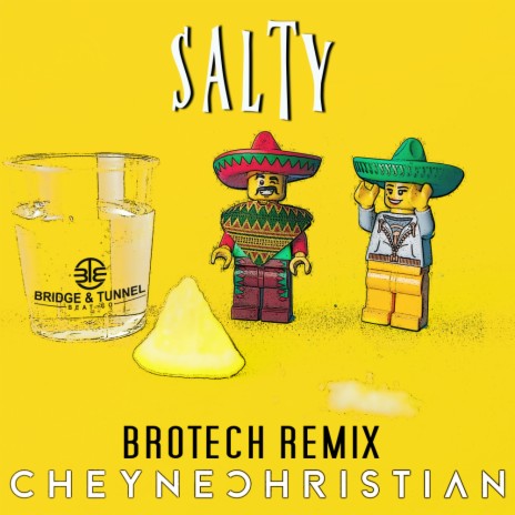 Salty (Brotech Remix) ft. Brotech