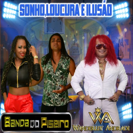 Sonho, Loucura e Ilusão ft. WANDERLEY ANDRADE | Boomplay Music