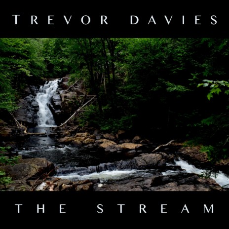 The Stream