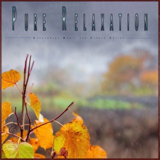 Pure Relaxation: Background Music for Stress Relief