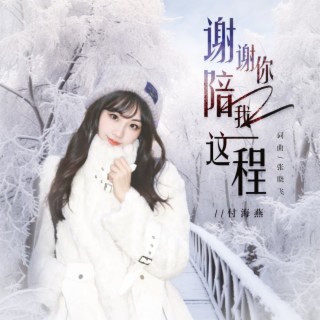 谢谢你陪我这一程（深情版） lyrics | Boomplay Music