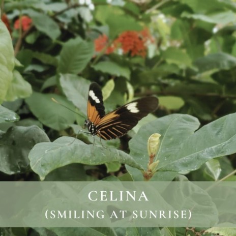 Celina (Smiling at Sunrise) | Boomplay Music