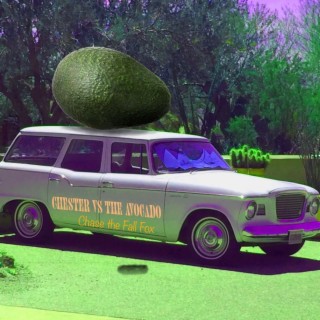 Chester VS the Avocado