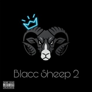 Blacc sheep 2