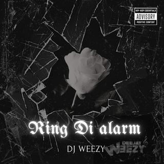 Ring Di Alarm