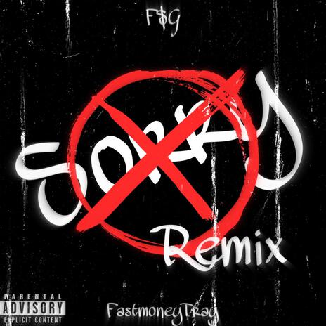 Sorry Not Sorry (Remix) | Boomplay Music