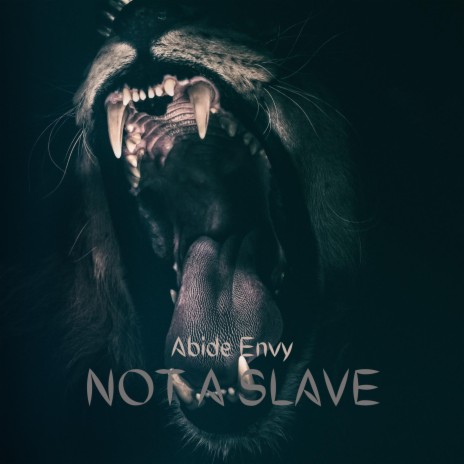 Not a Slave | Boomplay Music