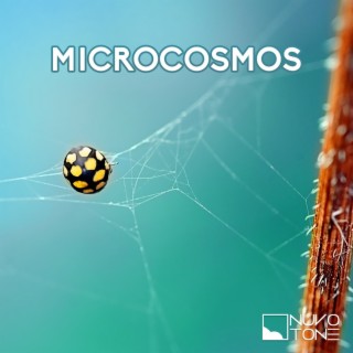 Microcosmos