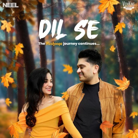 Dil Se | Boomplay Music