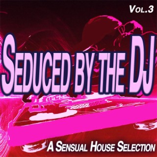 Seduced by the Dj, Vol.3 - a Sensual House Selection