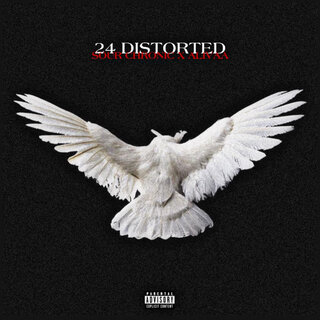 24 Distorted