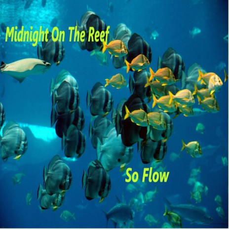 Midnight On The Reef | Boomplay Music