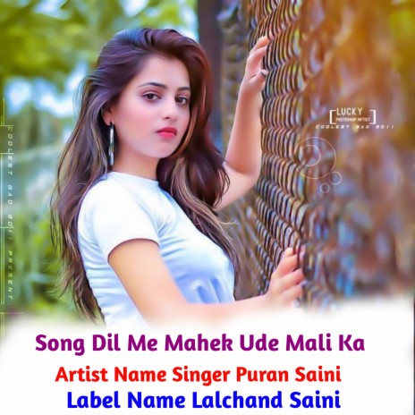 Dil Me Mahek Ude Mali Ka (Hindi) ft. Singer Puran Saini | Boomplay Music