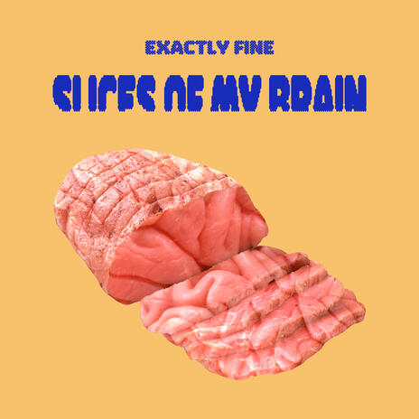 Slices Of My Brain | Boomplay Music